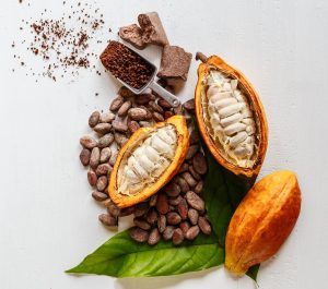 Le chocolat est durable Problème. Sciences Pense Il a trouvé la réponse